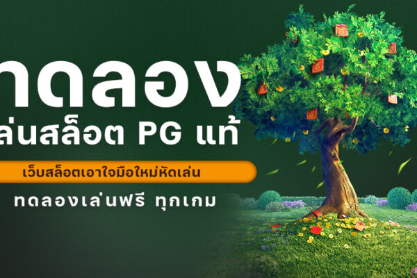 ทดลองเล่นสล็อต PG แท้ เว็บสล็อตเอาใจมือใหม่หัดเล่น ทดลองเล่นฟรี